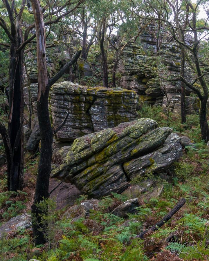 Wonderland Cottages Halls Gap Luaran gambar