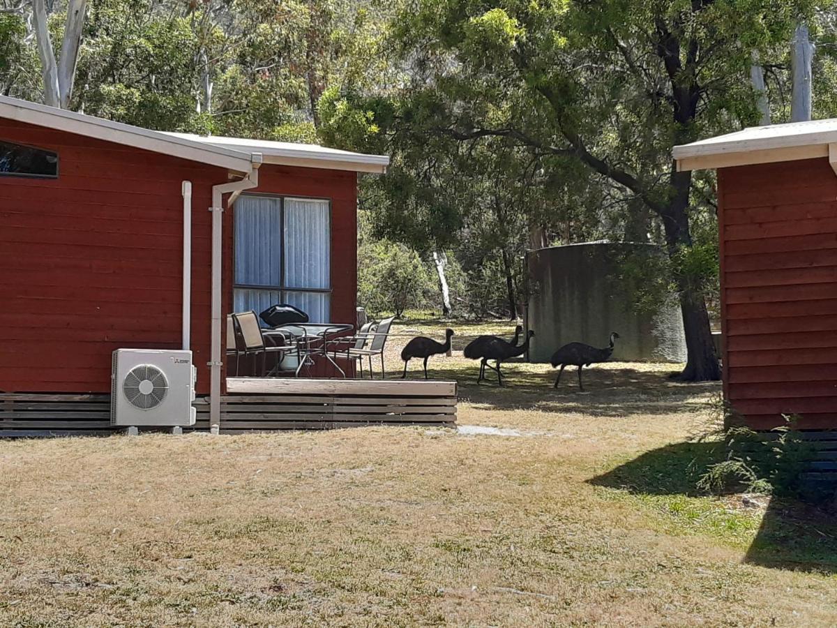 Wonderland Cottages Halls Gap Luaran gambar