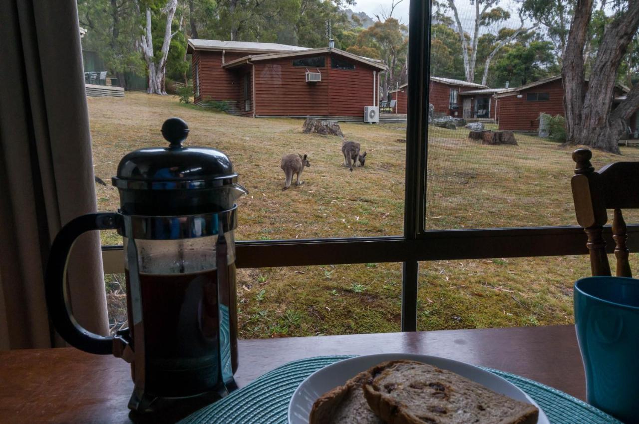 Wonderland Cottages Halls Gap Luaran gambar
