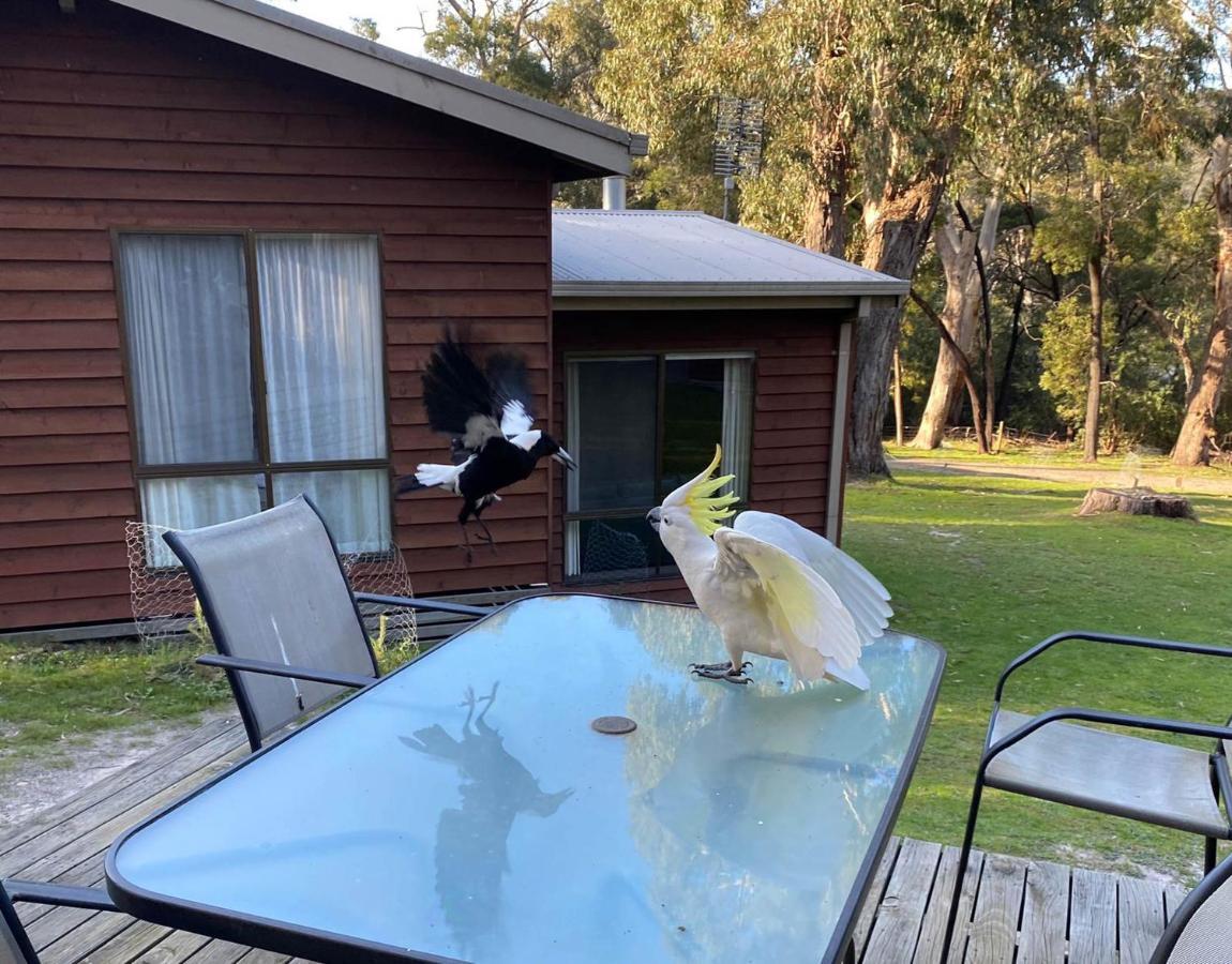 Wonderland Cottages Halls Gap Luaran gambar